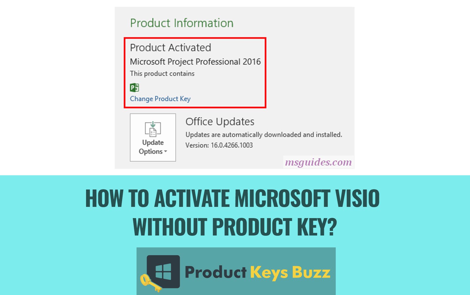 How to Activate Microsoft Visio without Product Key