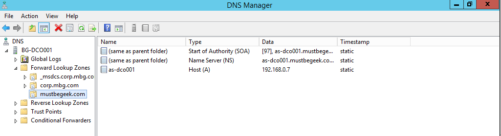 only the SOA, NS, and A record of the Master DNS server is present