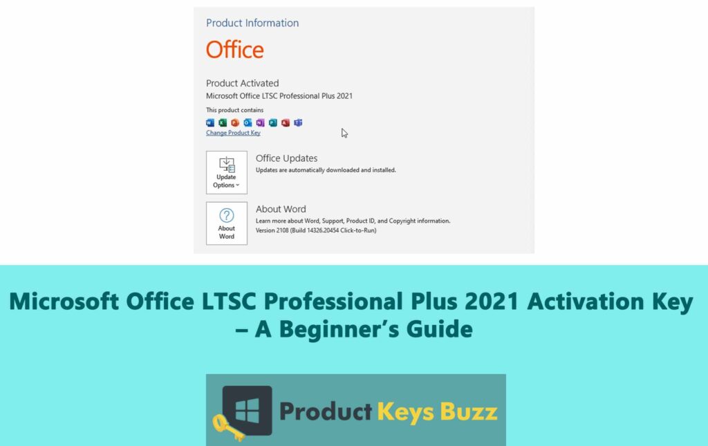 Microsoft Office LTSC Professional Plus 2021 Activation Key [100