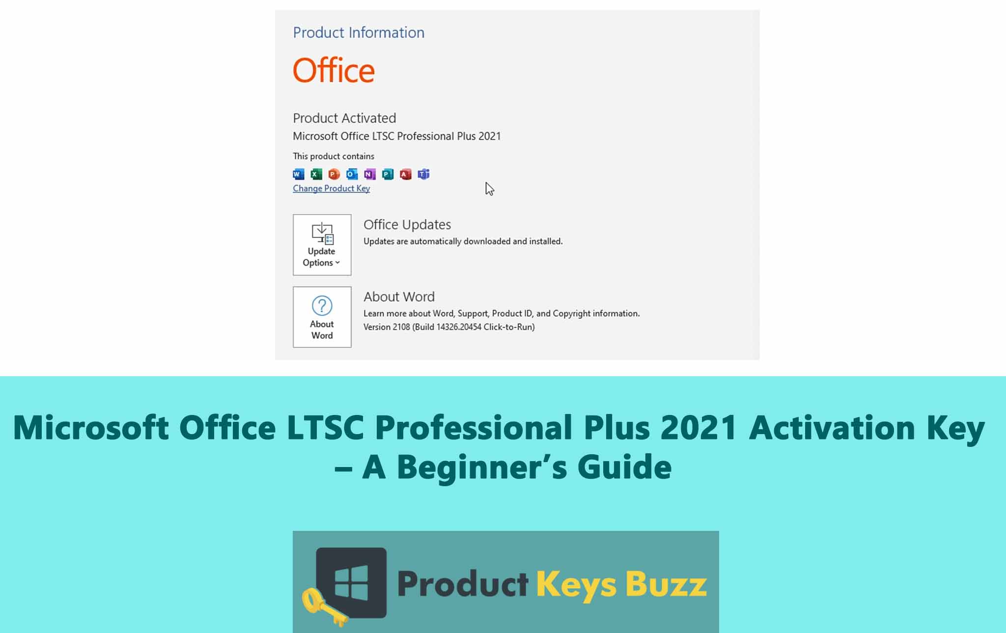 Microsoft Office LTSC Professional Plus 2021 Activation Key