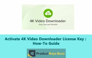 4K Video Downloader License Key