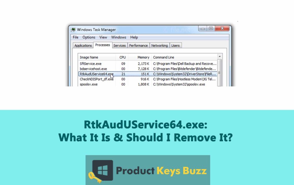RtkAudUService64.exe