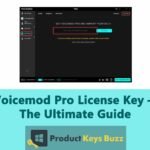 Voicemod Pro License Key