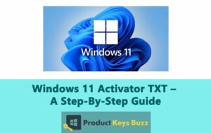 Windows 11 Activator TXT