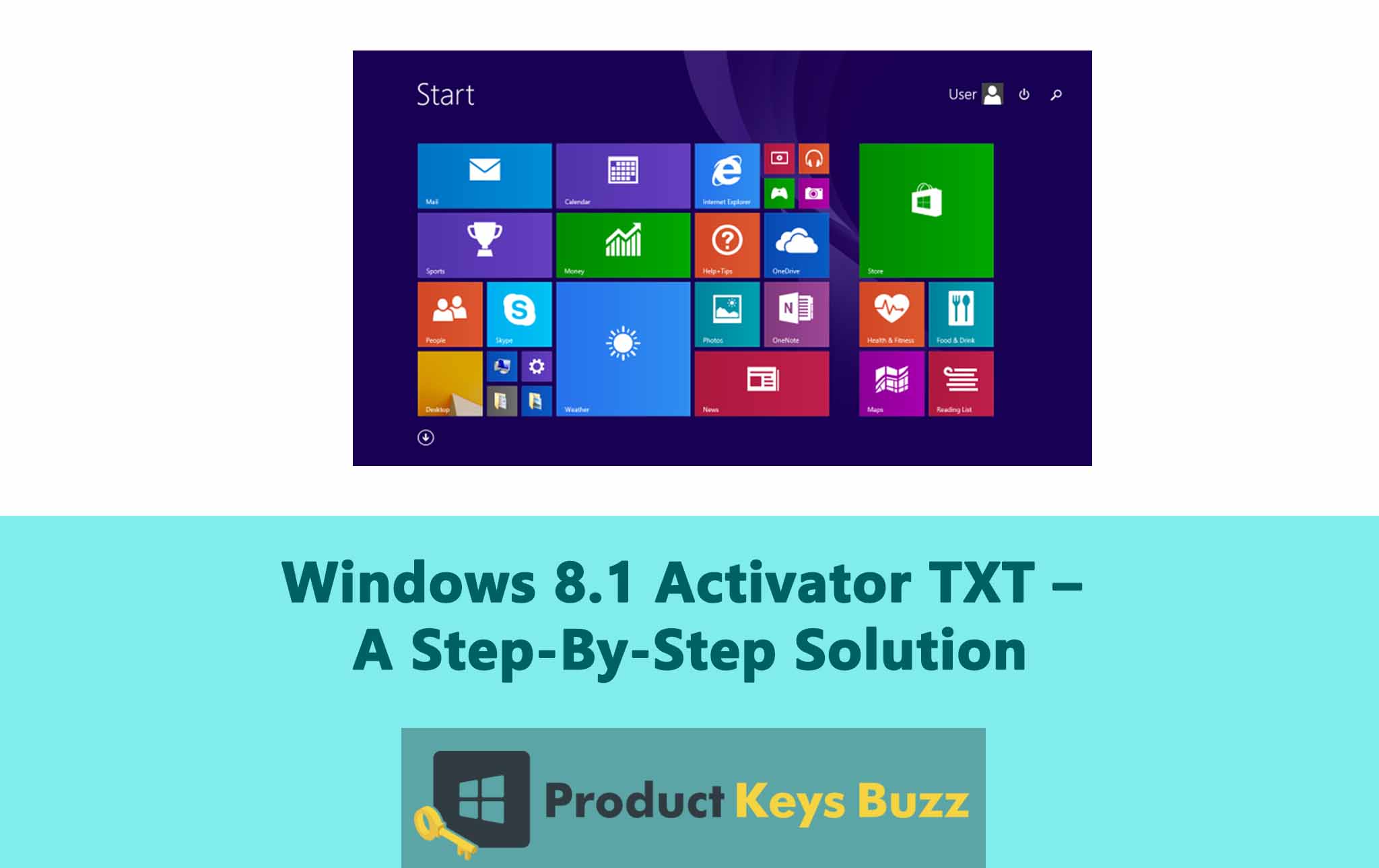 Windows 8.1 Activator TXT