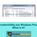 AGCInvokerUtility.exe Windows Process