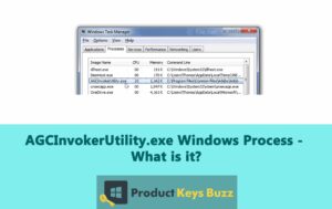 AGCInvokerUtility.exe Windows Process