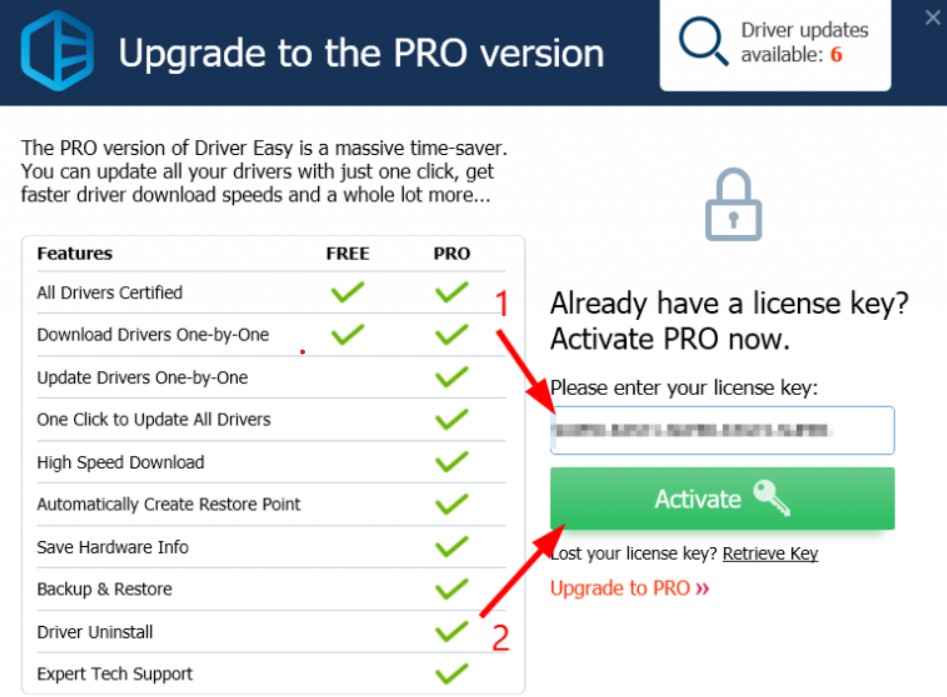 Driver Easy Pro license key