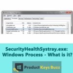 SecurityHealthSystray exe