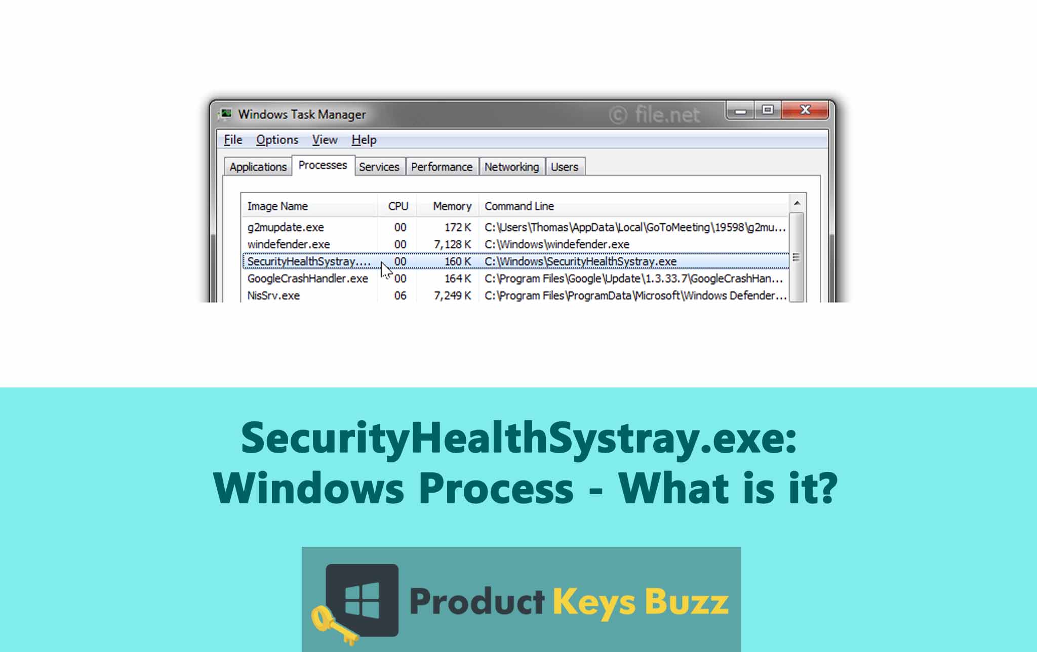 SecurityHealthSystray exe