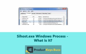 Sihost.exe Windows Process